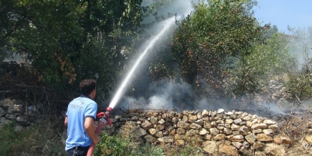 Bilecik’te Ot Yangını Paniğe Neden Oldu