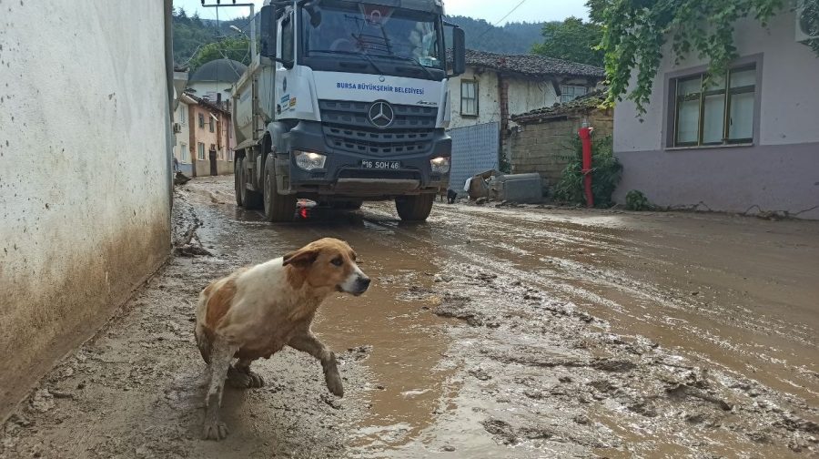 Bursa'da selin vurduğu Dudaklı Mahallesi hayalet köye döndü