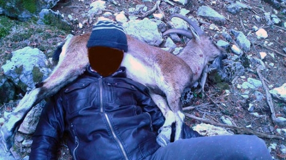 Yasak ava ceza yağdı