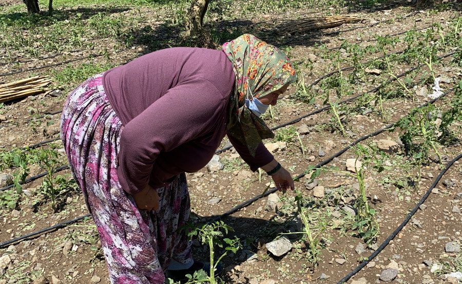 Bursa'da ekili arazisini sel vurunca gözyaşı döktü!