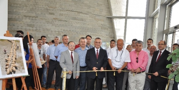 Tarım Ve İnsan Sergisi Manisalılarla Buluştu