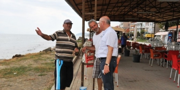 Süleymanpaşa Belediye Başkanı Eşkinat, Altınova Sahilinde İncelemelerde Bulundu