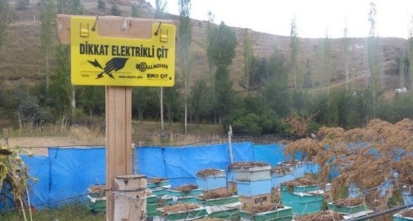 Oltu’da Çoruh Nehri Havzası Rehabilitasyon Projesi Faaliyetlerini Uygulamaya Devam Ediyor