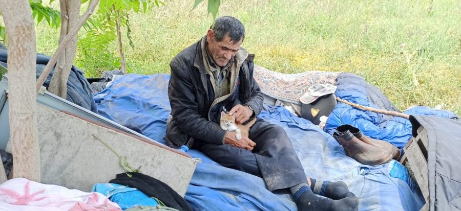 Bursa'da sokakta yaşayan adam, kedi yavrularına babalık yapıyor