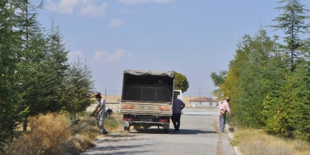 Cihanbeyli’de Okullarda Temizlik Seferberliği