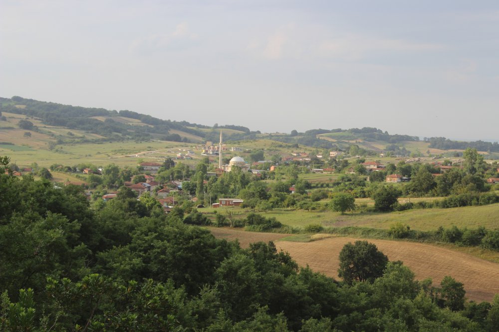 Bursa’da  kurtlar köylünün kabusu oldu