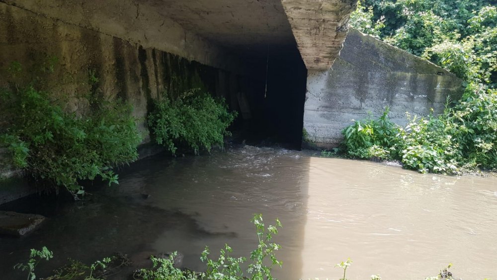  İznik Gölü'ne karışan derenin rengi siyaha döndü