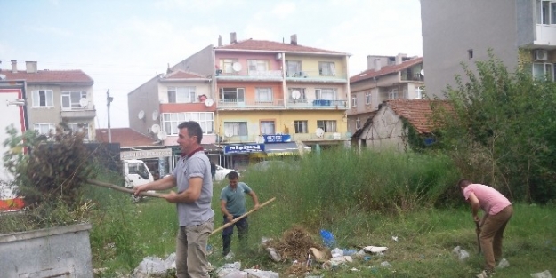 Duyarlı Vatandaşlar Çevre Temizliği Yapıyor