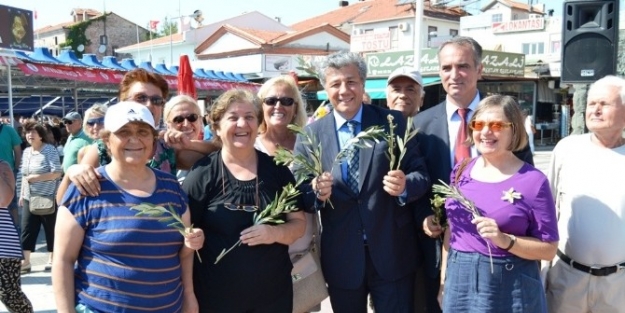Ayvalık’ta Balbay’dan Zeytin Dalı