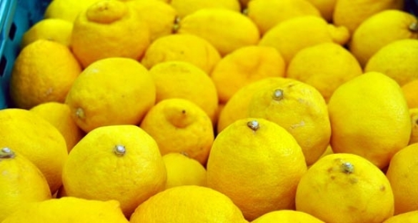 Zam şampiyonu limonun artışı durmuyor