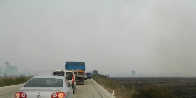 Anız Yangını Yol Kapattı