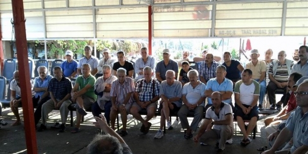 (özel Haber) Taze Balık Mezadına Büyük İlgi