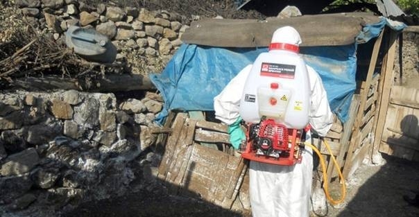 Orhangazi’de “mavi Dil” Hastalığı Alarmı