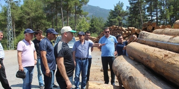 Orman Bölge Müdürü İsmet Erol Feke’de