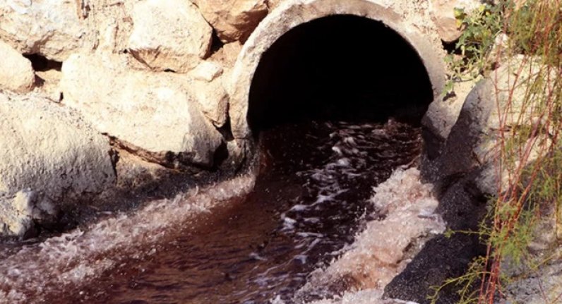 Bakan Kurum'dan Ceyhan Nehri Kirliliği Yanıtı: "64 tesise 10,5 milyon TL ceza kesildi"