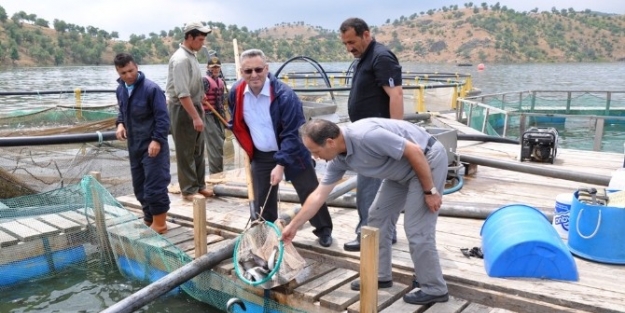 Av Malzemesi Satan İşletmeler Uyarıldı