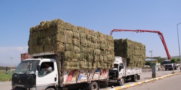 Balya Ot Çildir Pazarında Yerini Aldı