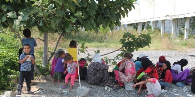 İş Vaadiyle Kandırılan Suriyeli İki Aile Ortada Kaldı