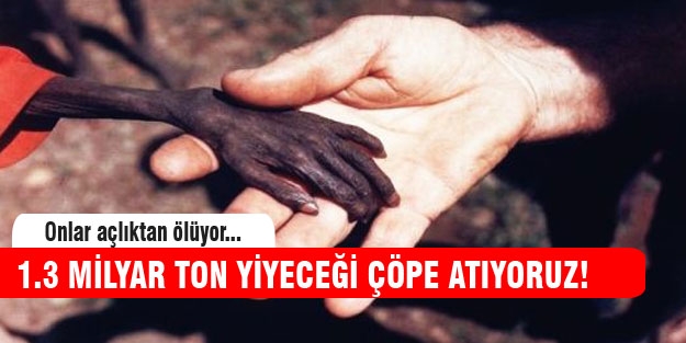 1.3 milyar ton yiyecek çöpte