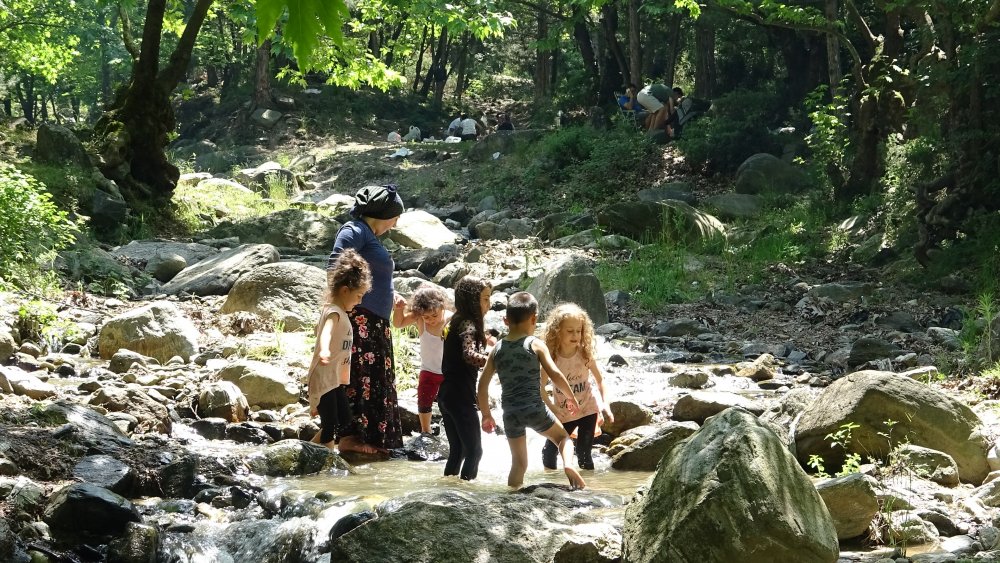 Kısıtlama bitti Bursalılar piknik alanlarına akın etti