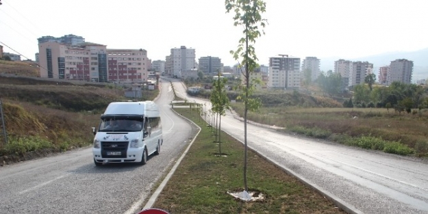 Şehir Magandaları Trafik Levhalarını Yıktı