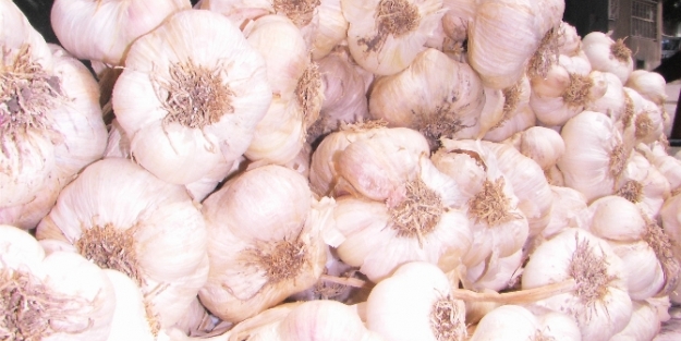 Sarımsak rekor kırdı!