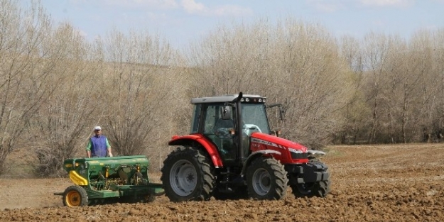 Sorgun Ziraat Odası Başkanı Hacı Tuzlacık, Çiftçileri Sertifikalı Tohum Kullanmaları Konusunda Uyardı