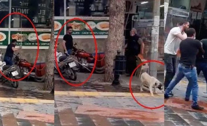 Köpeği sopayla döven kişiye, barınakta hayvanlara bakma cezası