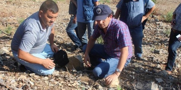 Orman Bölge Müdürü Erol, Saimbeyli’yi Ziyaret Etti