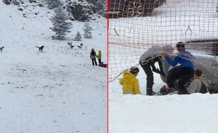 Sokak köpekleri kayak yapan turistlere saldırdı!