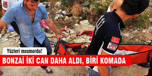 Bonzai 2 can daha aldı!