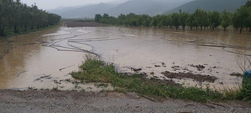  Bursa'da binlerce dönüm ekili tarla sular altında