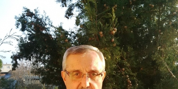 Kurbanlık Fiyatları Yüzde 17 Zamlandı