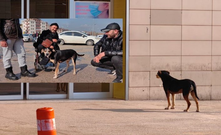 Bursa'dan yürekleri ısıtan görüntü! Tedavi gören engelli sahibini saatlerce bekliyor