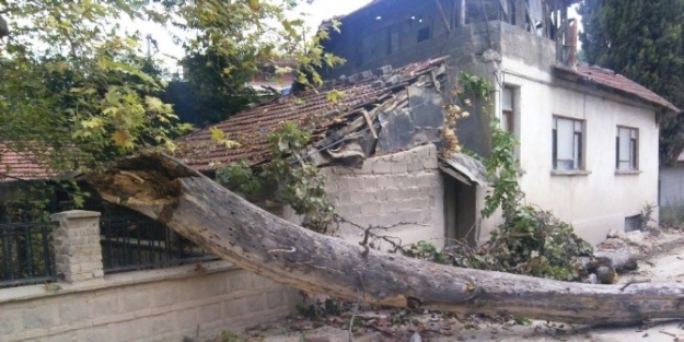 Bin 257 Yıllık Çinarin Dalları Kırıldı