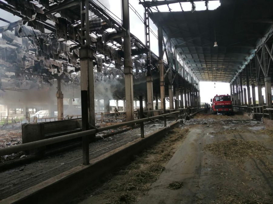 Bursa'da hayvan çiftliği alev alev yandı