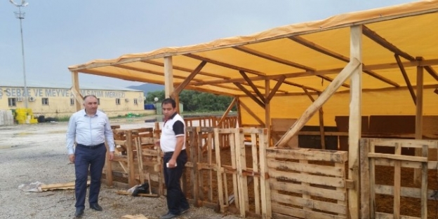 Başkan Çağlayan Kurban Pazarını İnceledi