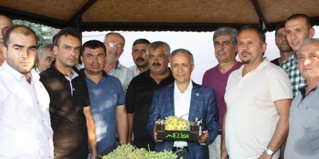 Yerli Üreticiyi Koruma Amacıyla İran Üzümüne Tedbir