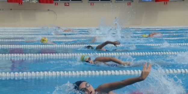 Anadolu Kupası Türkiye Yüzme Şampiyonasi