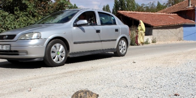 Dikkat Ağır Vasıta...
