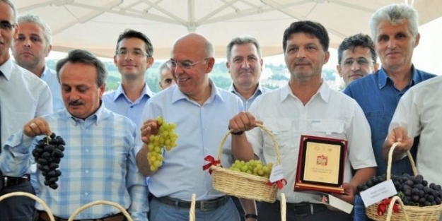 Tekirdağ’ın Üzümleri Yarıştı