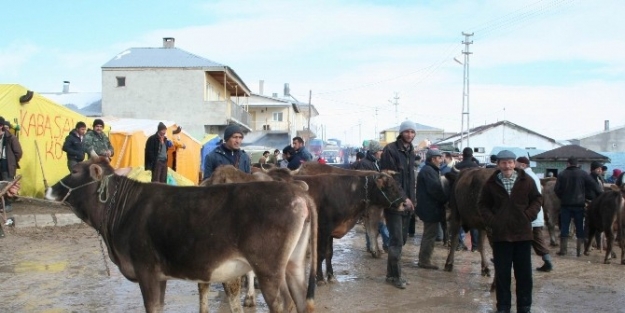 Kurban Pazarı Yer Müracaatları Başladı