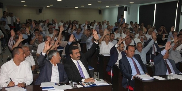 Şehir Merkezlerinde Hayvancılık Tarih Oluyor