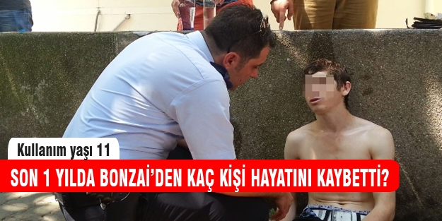 Türkiye'de bonzaiden kaç kişi öldü?