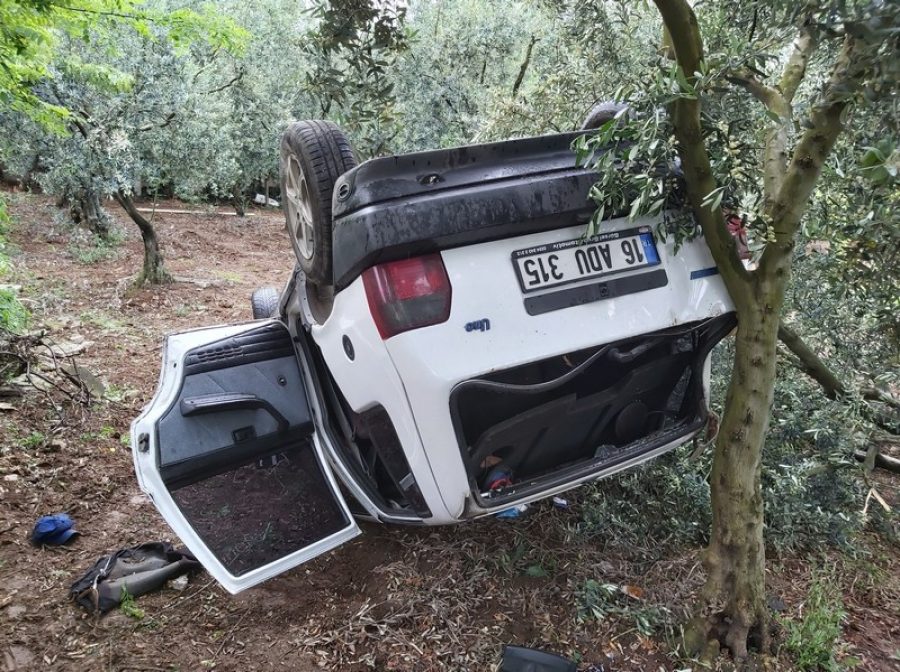 Bursa'da evin bahçesine daldı!