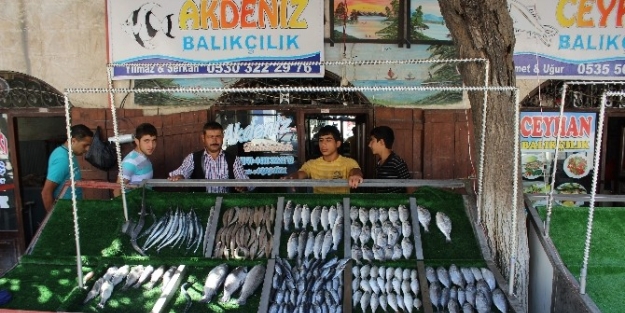 Kilis’te Balık Tezgaha İndi