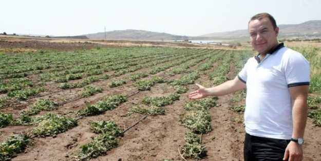 Ziraat Odası Su İsrafina Karşı Kampanya Başlattı