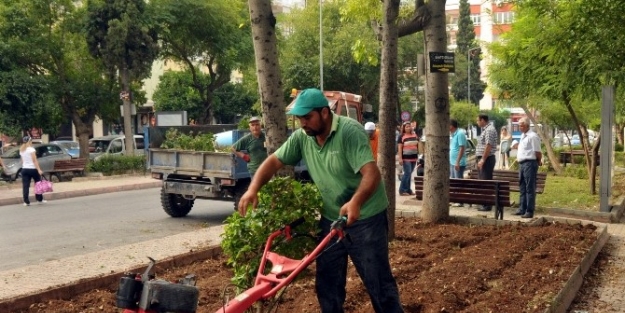 Aşıklar Parkı Yenileniyor