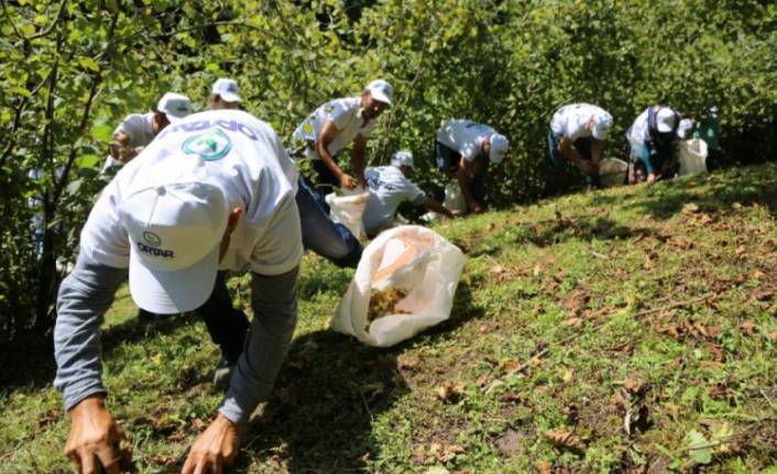 Çaydan sonra fındıkta işçi endişesi