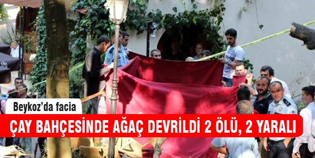 Çay bahçesinde facia